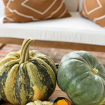 Fall Front Porch Decor Finds