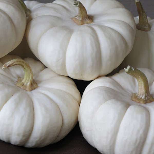 simple neutral fall tablescapes